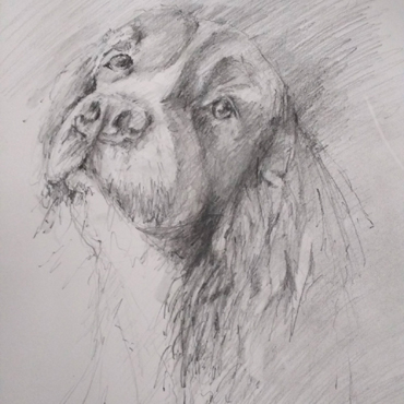 Sketching